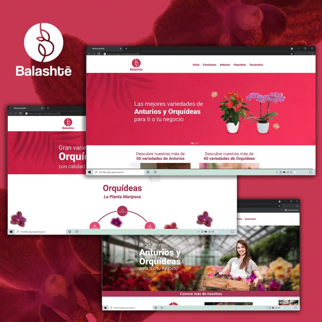 Página web para productores agrícolas y viveros