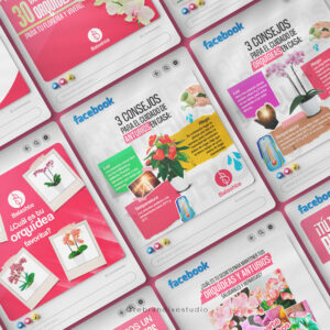 diseño para redes sociales - Balashté