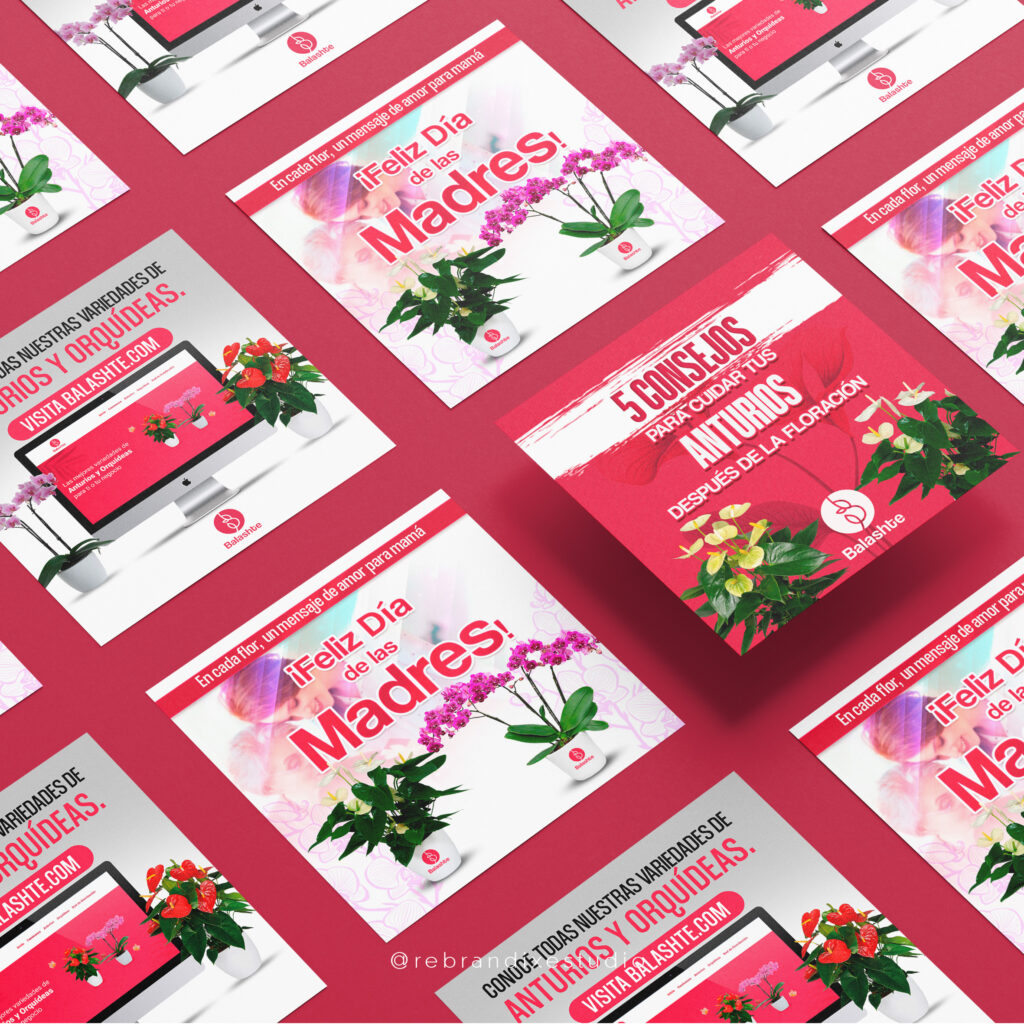 creación de contenido para redes sociales - Balashté