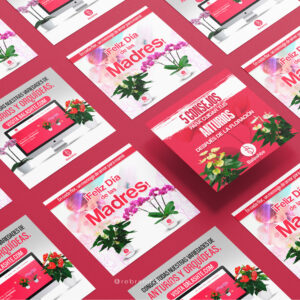 creación de contenido para redes sociales - Balashté